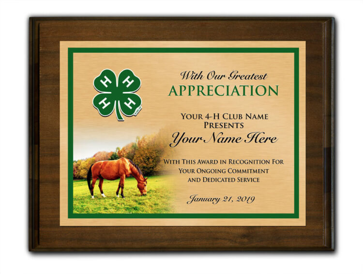 4-h plaque