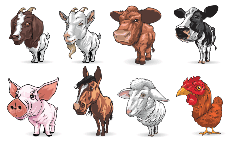 4-H Stall Tag - Fun Farm Animal Design SP7691 - Image 3