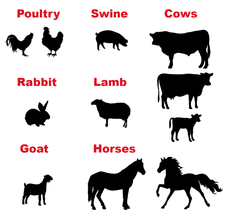 choice of animal silhouettes