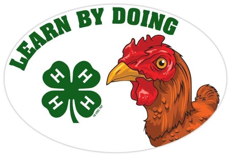 4-h refrigerator magnet - chicken