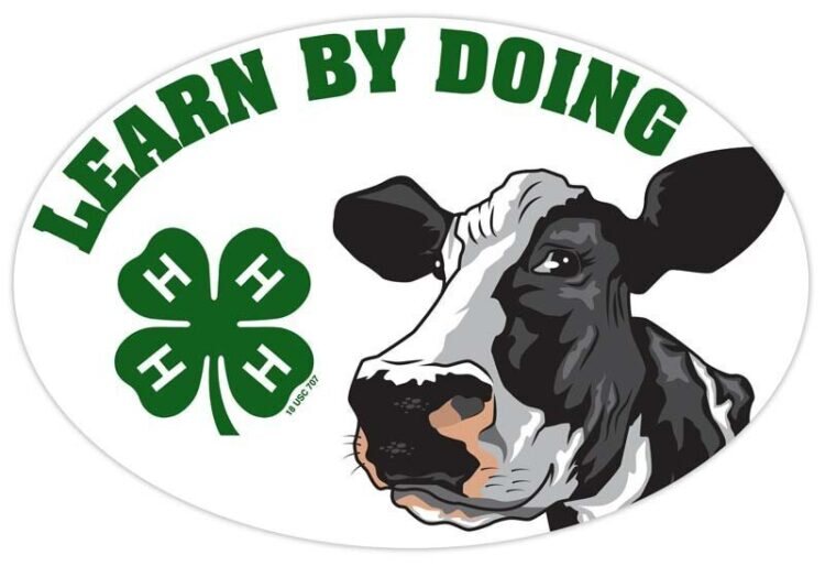 4-h refrigerator magnet - dairy cow