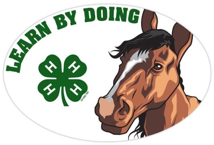 4-h refrigerator magnet - horse