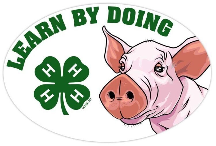 4-h refrigerator magnet - pig