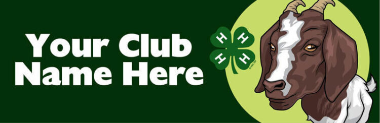 4-h bumper sticker -