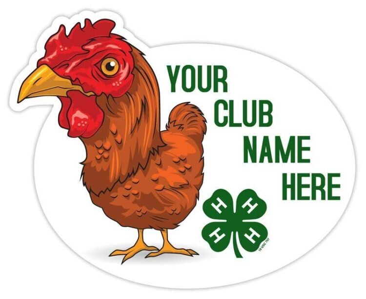 4-h sticker - chicken