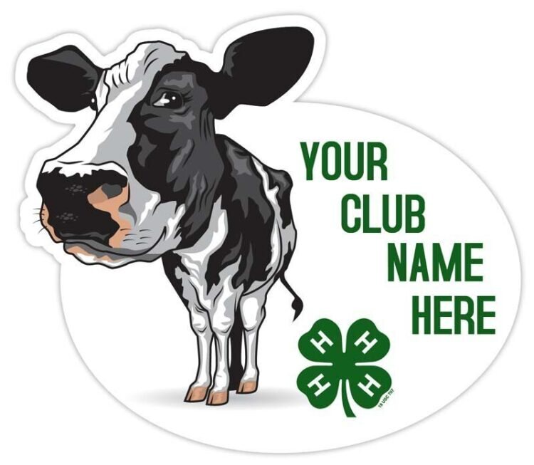 4-h sticker - dairy cow