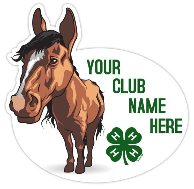 4-h sticker - horse