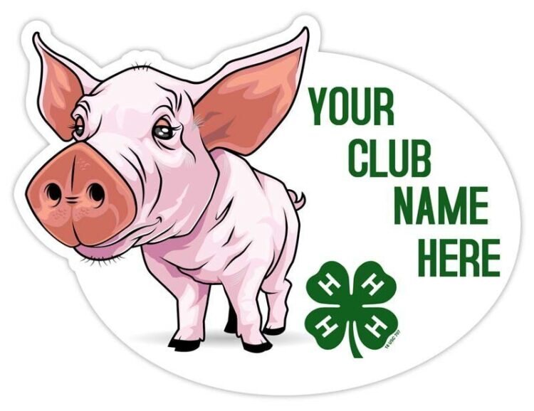 4-h sticker - pig