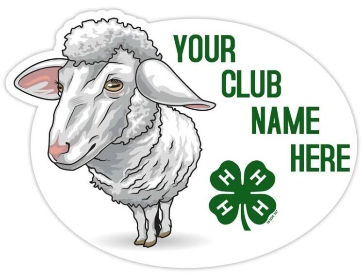 4-h sticker - sheep