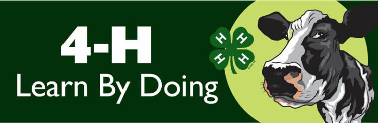 4-h bumper sticker -