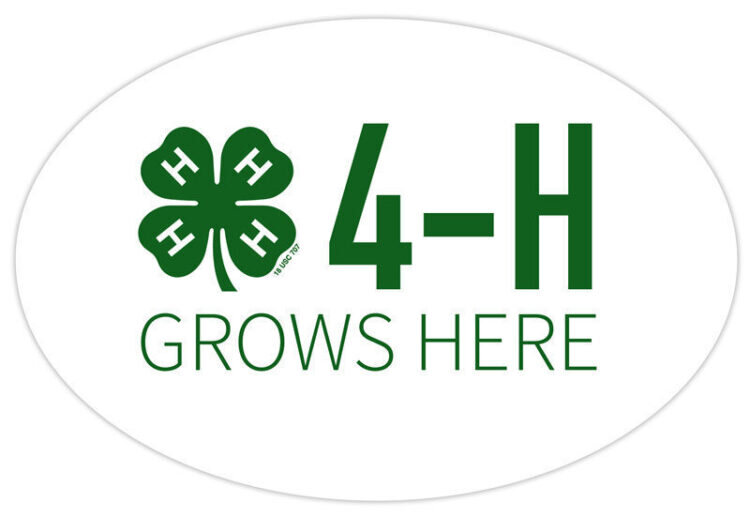 4-h refrigerator magnet -