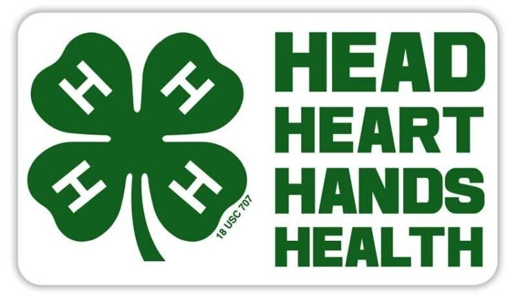 4-h sticker -