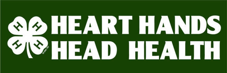 4-h bumper sticker -