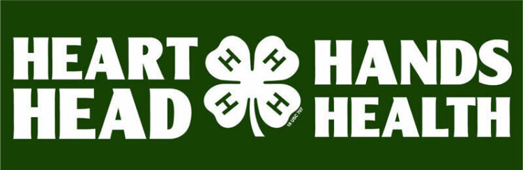 4-h bumper sticker -