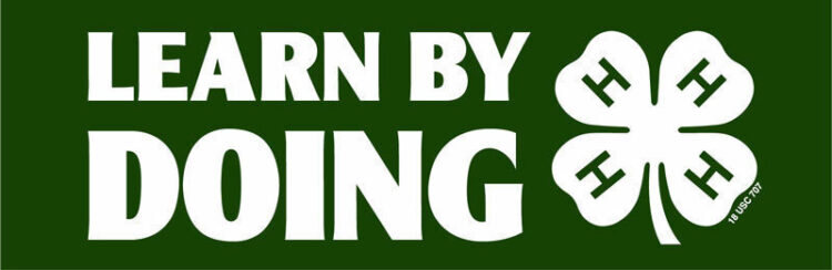 4-h bumper sticker -