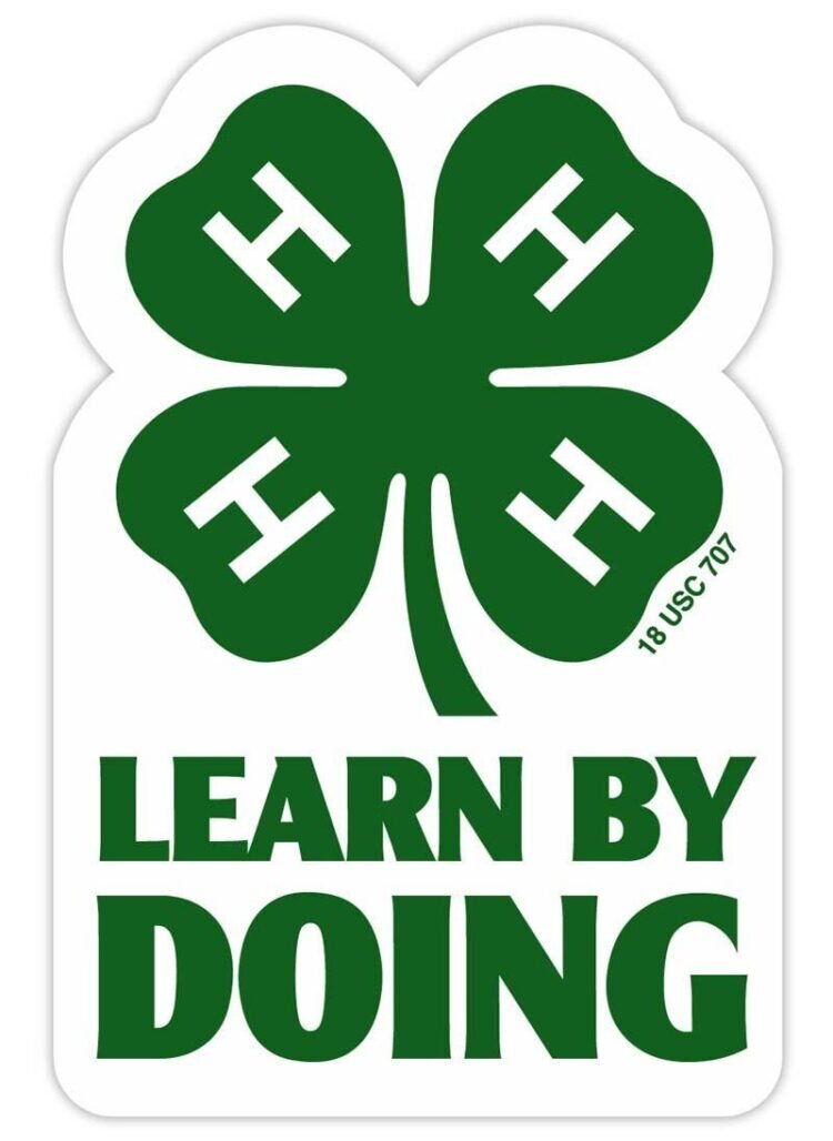 4-h sticker -