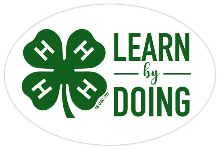 4-h refrigerator magnet -