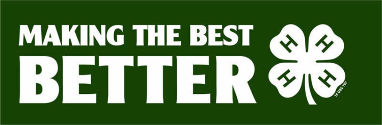 4-h bumper sticker -