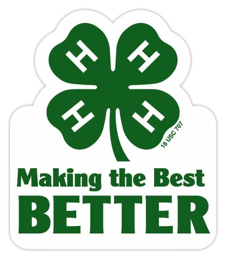 4-h sticker -