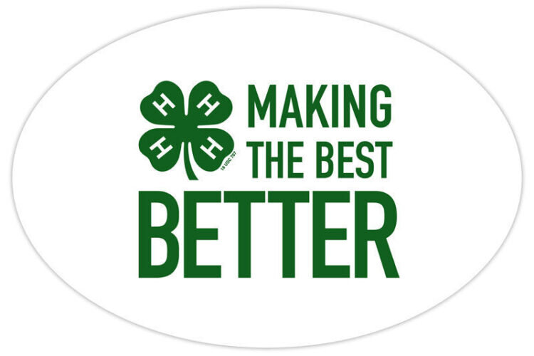 4-h refrigerator magnet -