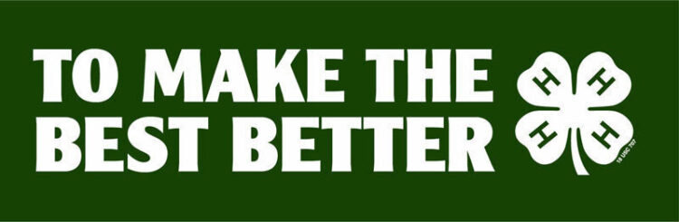 4-h bumper sticker - to make the best better bumper sticker