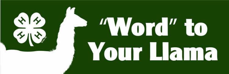 4-h bumper sticker -