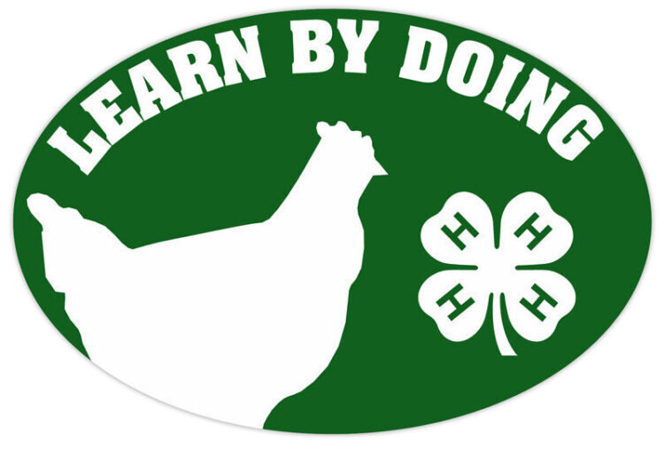 4-h refrigerator magnet - chicken