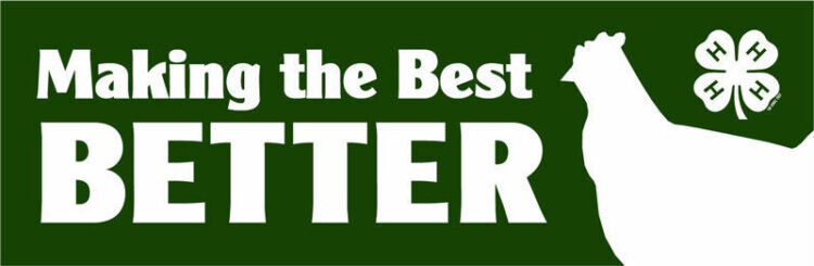 4-h bumper sticker -