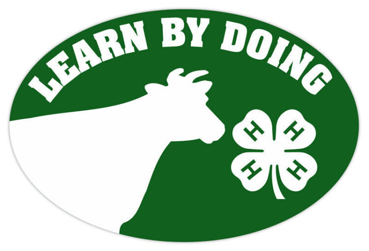4-h refrigerator magnet - cow
