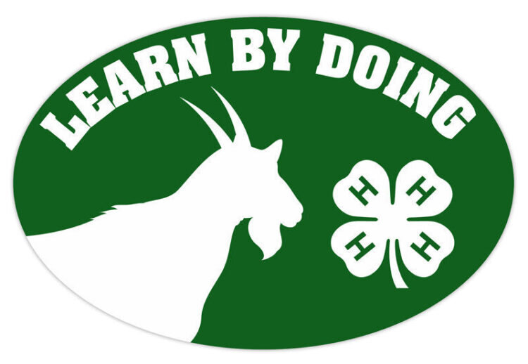 4-h refrigerator magnet - goat