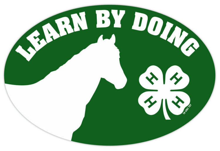 4-h refrigerator magnet - horse