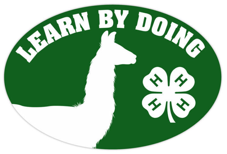 4-h refrigerator magnet - llama