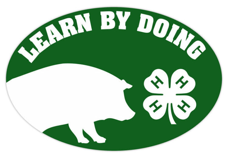 4-h refrigerator magnet - pig