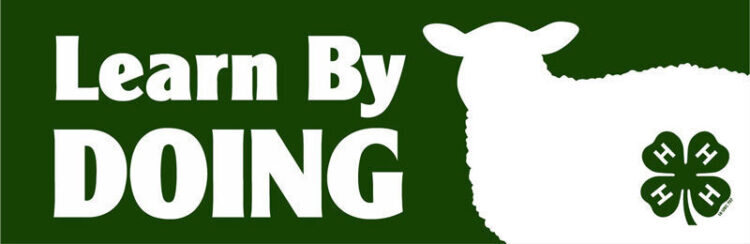 4-h bumper sticker -