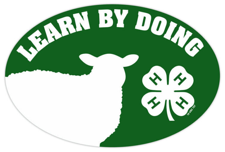 4-h refrigerator magnet - sheep