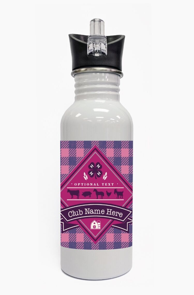 4-h water bottle steel