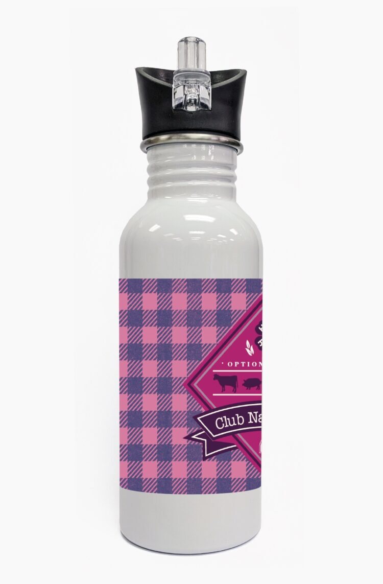 4-h water bottle steel