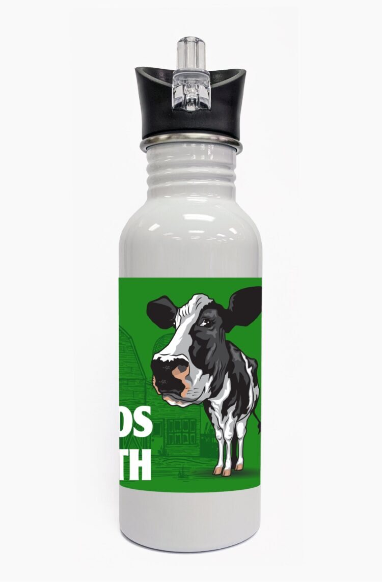4-h water bottle steel