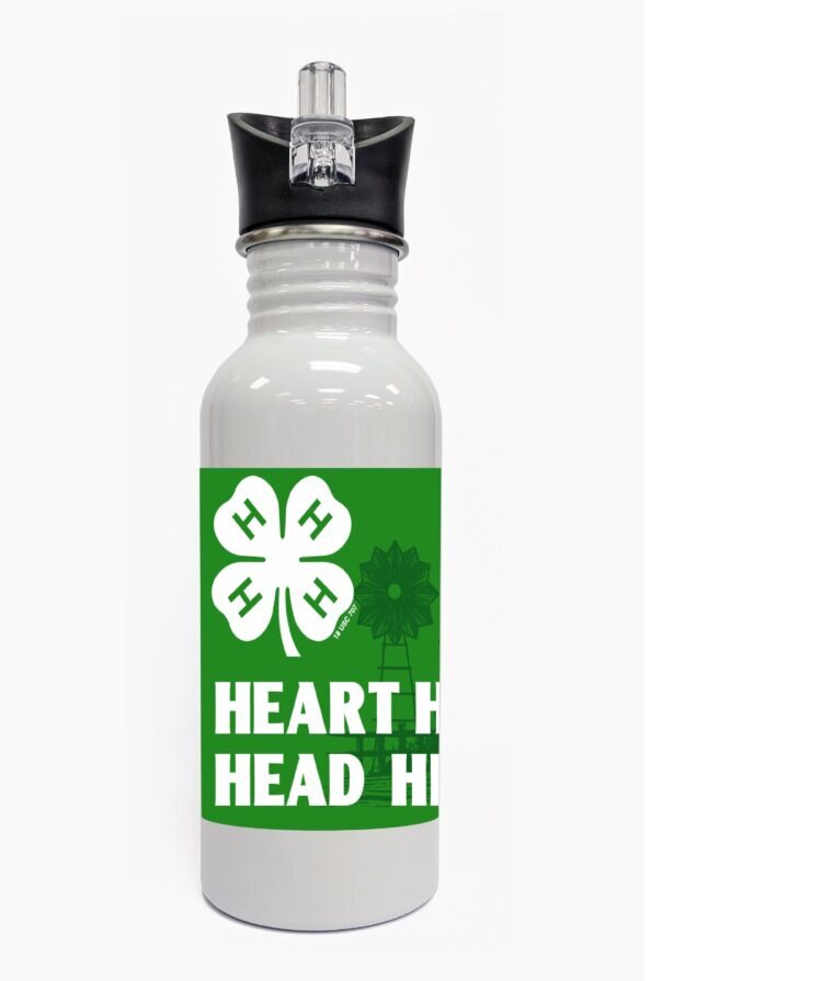 4-h water bottle steel
