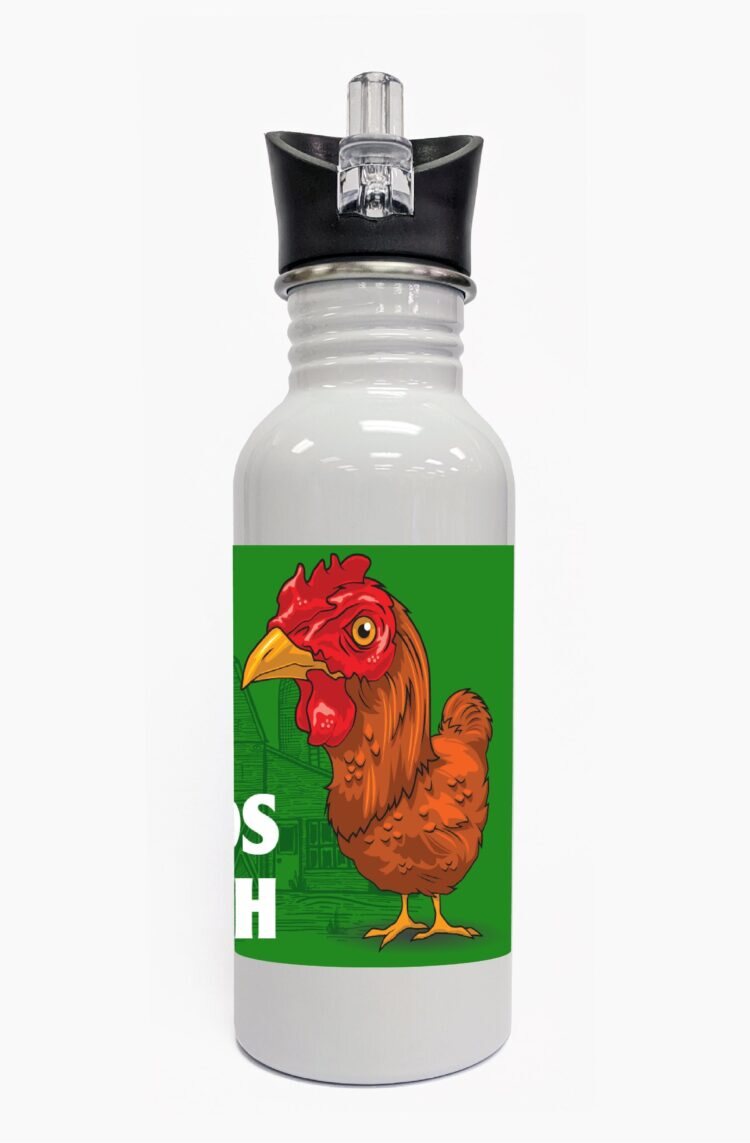 4-h water bottle steel