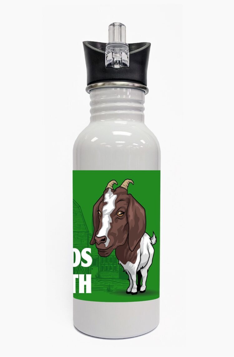 4-h water bottle steel