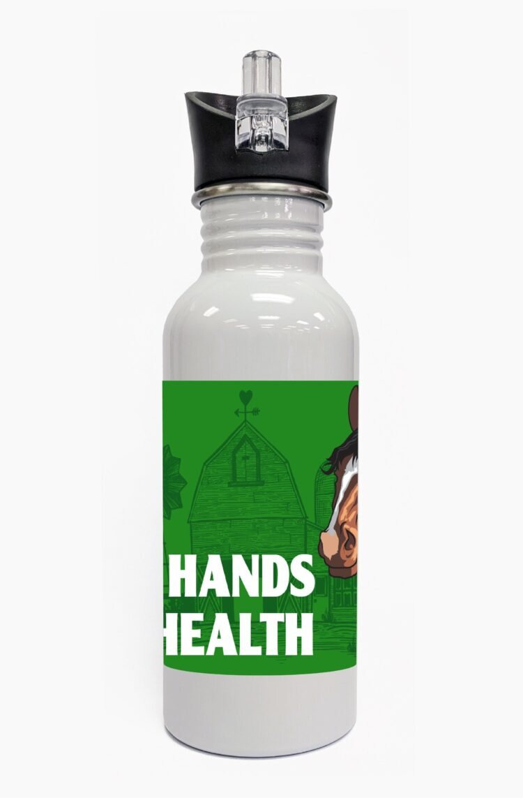 4-h water bottle - steel