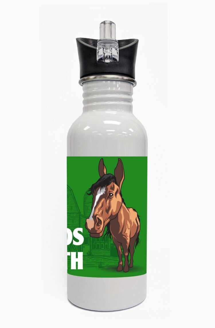 4-h water bottle - steel