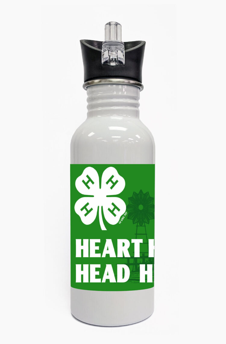4-h water bottle - steel