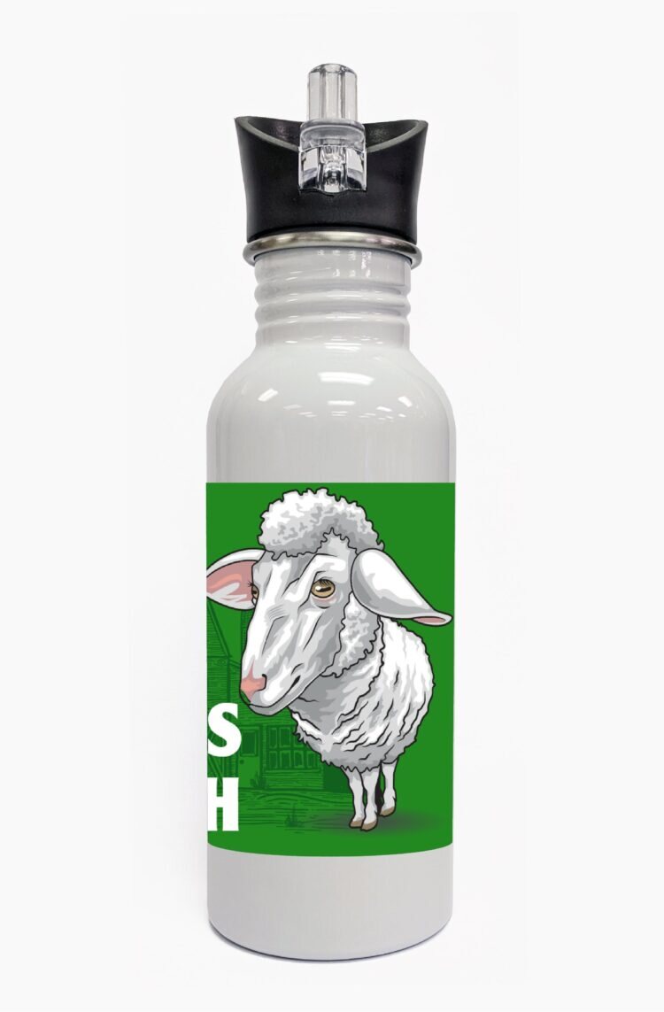4-h water bottle - steel