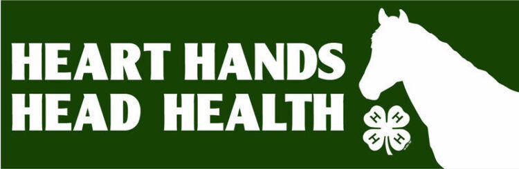 4-h bumper sticker -