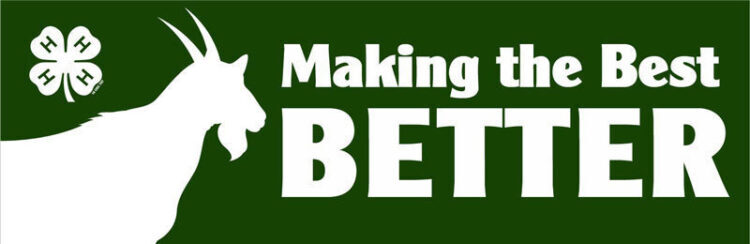 4-h bumper sticker -