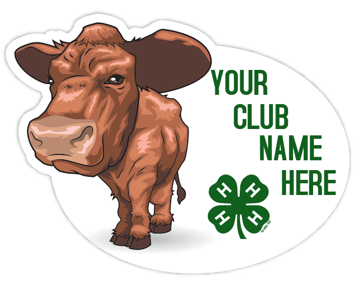 4-h sticker - beef cattle