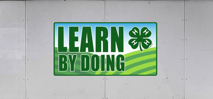 4-H Trailer Graphics