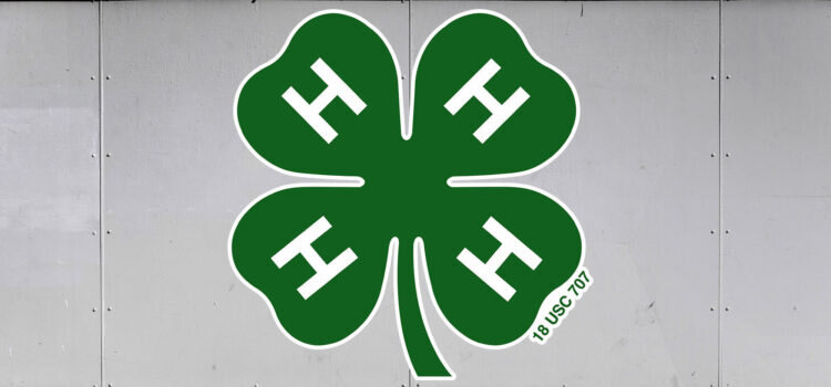 4-H Trailer Graphics - 4-H logo